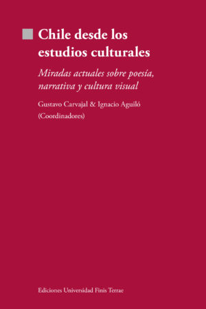 Chile desde los estudios culturales
