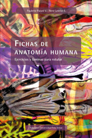 Fichas de anatomía humana